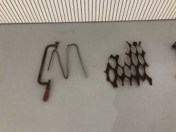 Exposición de Mutantes 2022